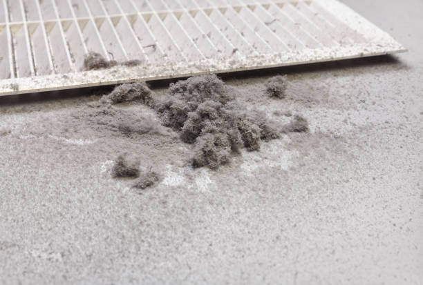 Best Affordable HVAC Duct Cleaning  in Campbelltown, PA