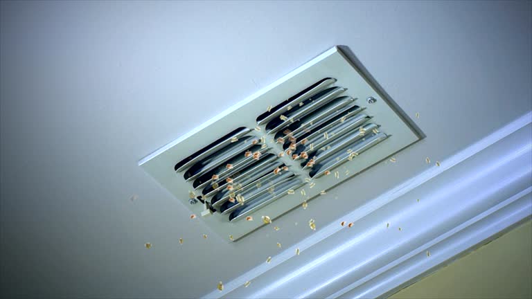 Best Best Air Duct Cleaning Company  in Campbelltown, PA